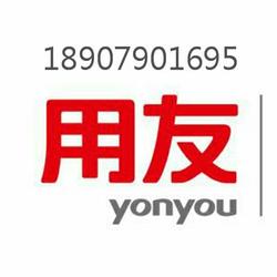 軟件技術(shù)服務(wù)的綜合供應(yīng)與批發(fā) 廠家的專業(yè)解析